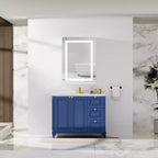 Meuble de salle de bain HBEZON avec miroirs et lumières, armoire murale éclairée, anti-buée, intensité réglable, aluminium, argent