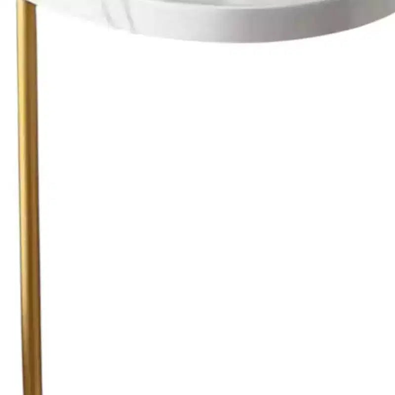 HomeRoots Ensemble de deux tables d'appoint rondes en fer nickelé