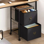 Meuble de classement mobile Acekool à 2 tiroirs, caisson de rangement sous bureau avec roulettes verrouillables, organisateur de bureau en métal